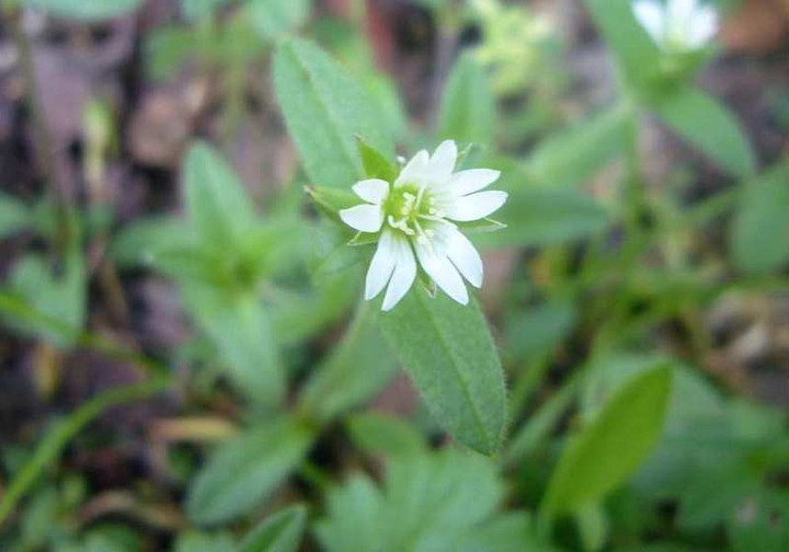 P1110800