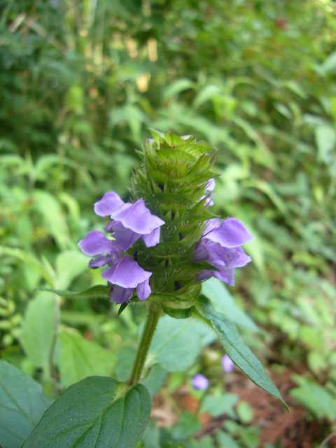 P1120095