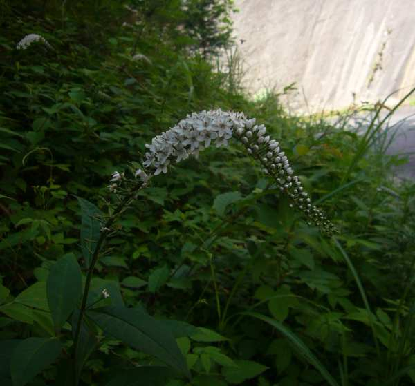 P1120058