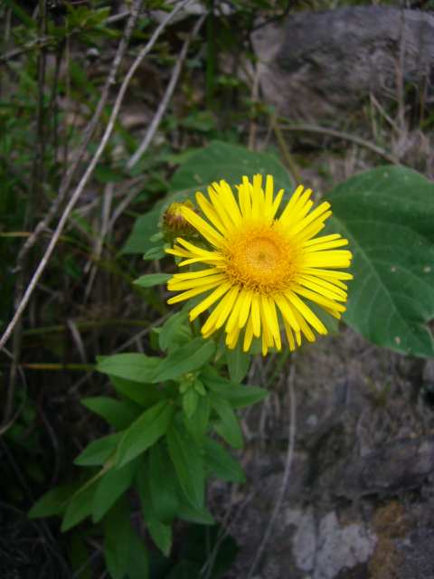 P1120140