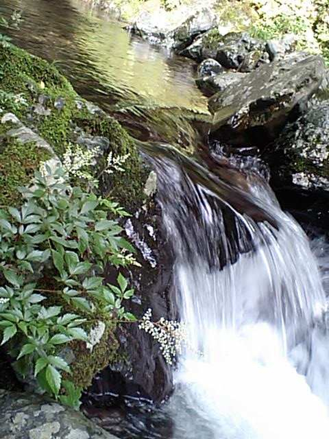 Ca340009_2