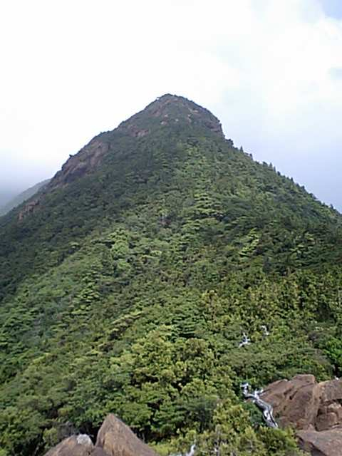 Ca340062