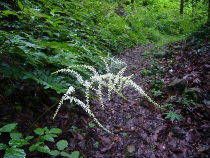 P1120233