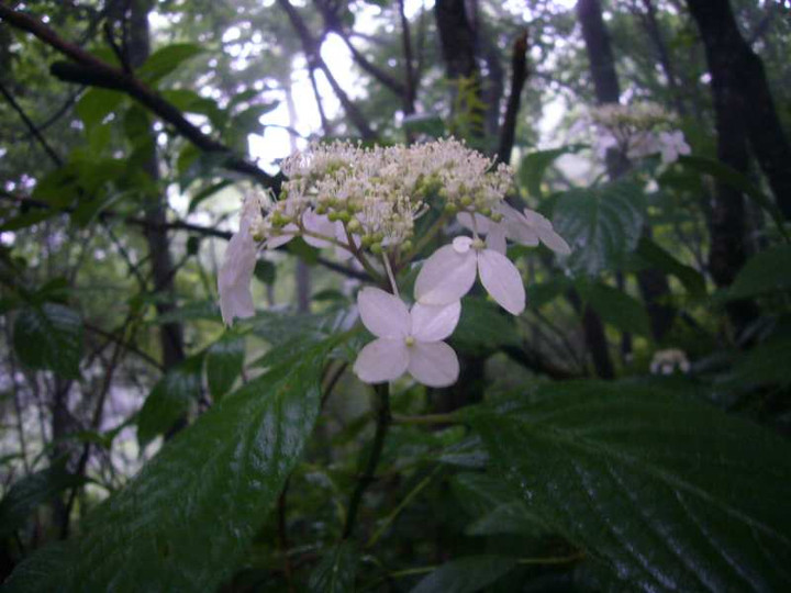 P1120177