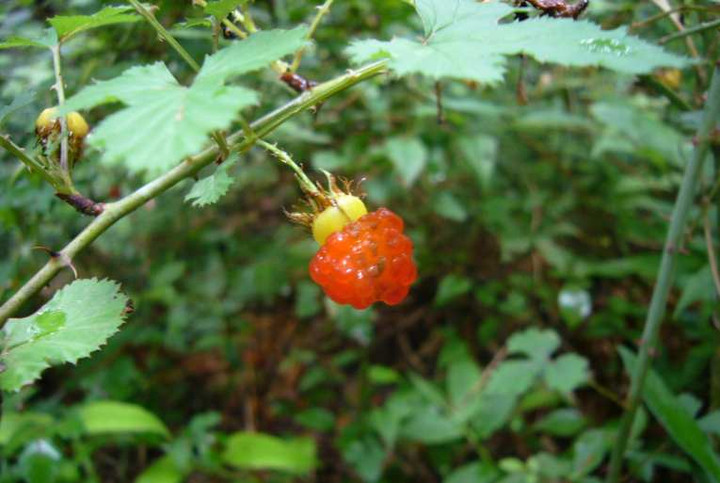 P1120228