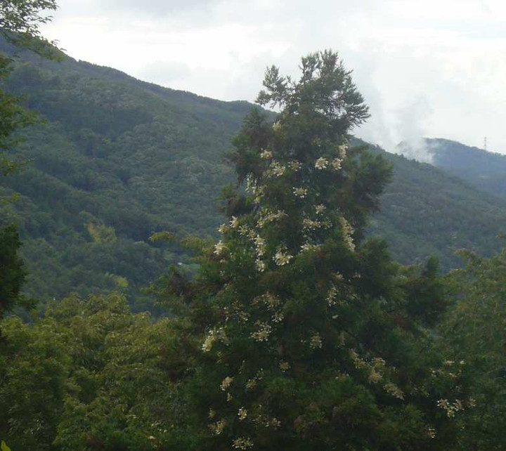 P1120255