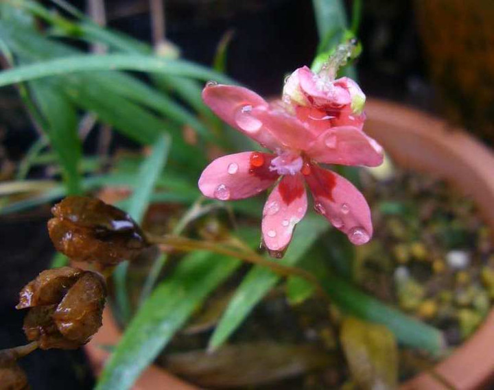 P1120528