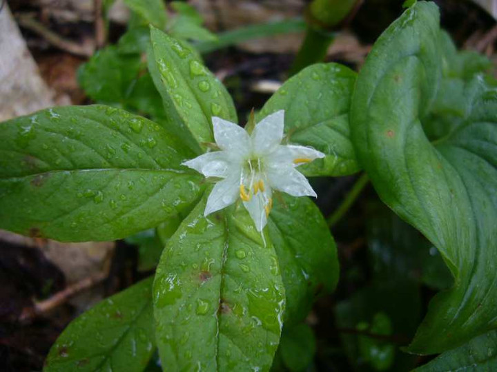 P1120681