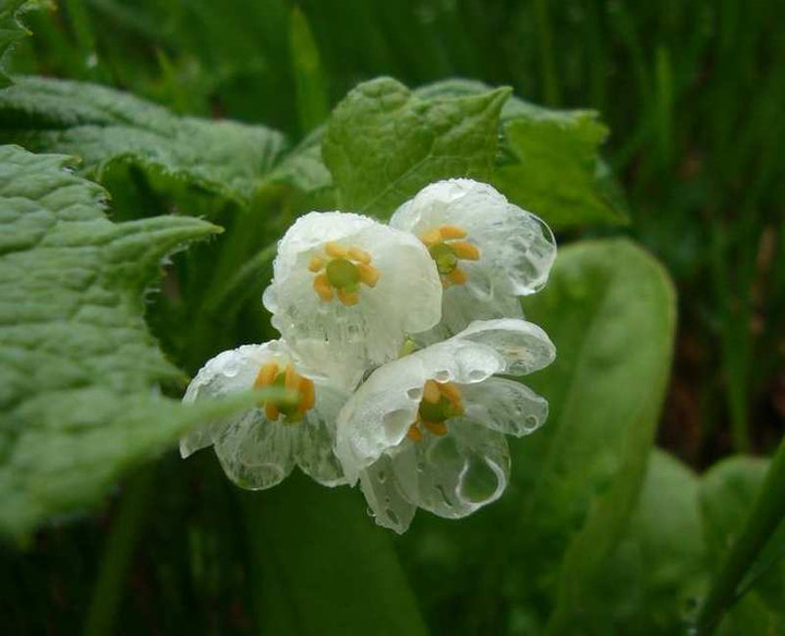 P1120726