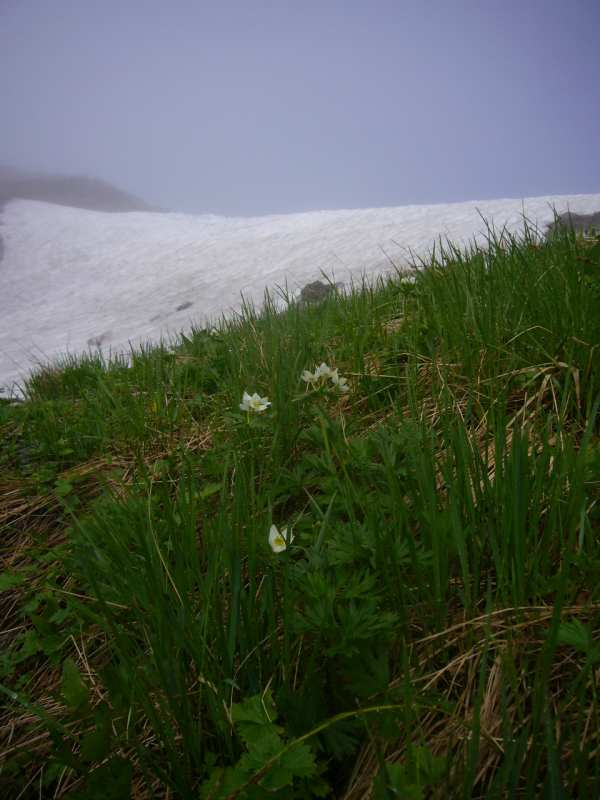 P1120745