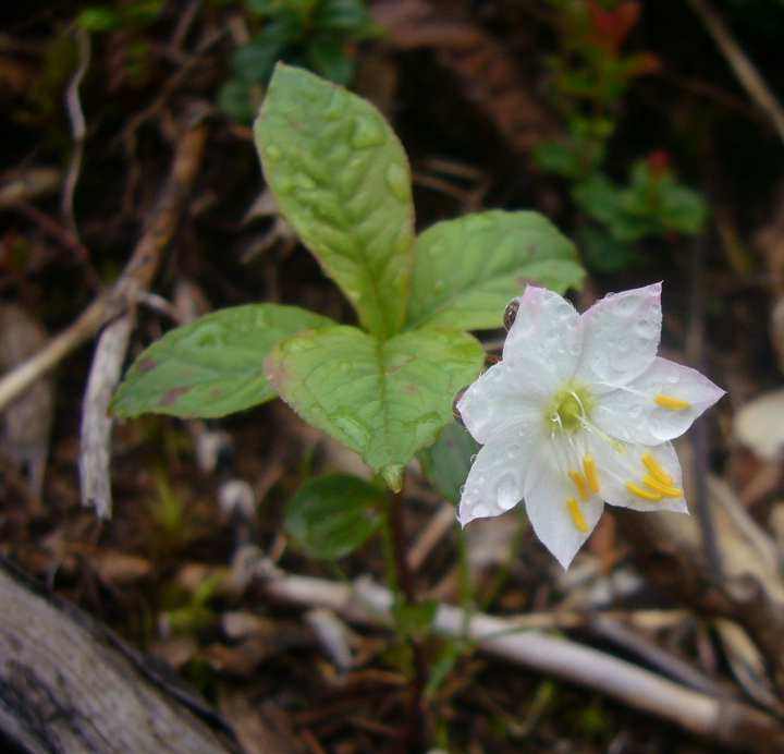 P1120754