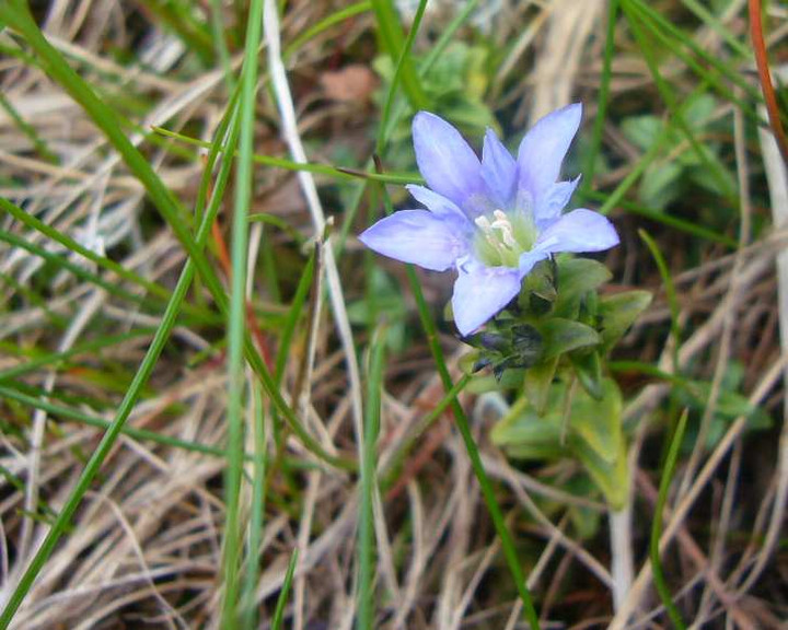 P1120872