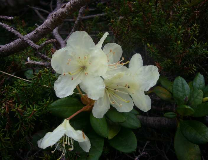 P1120952