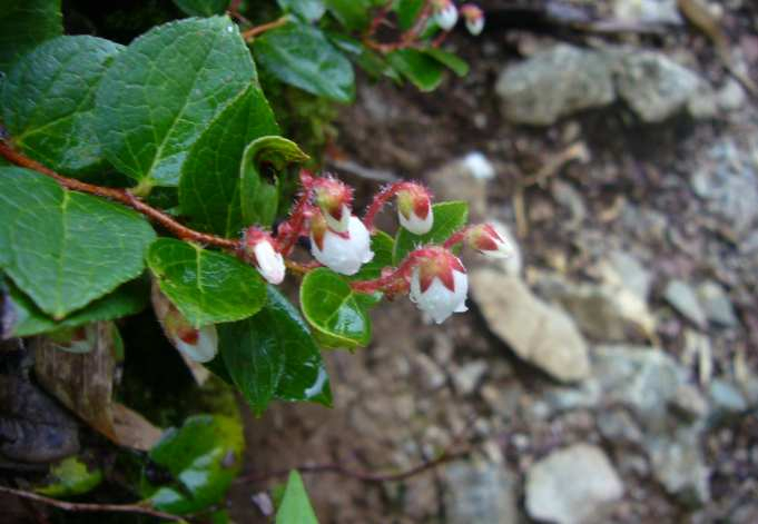 P1130096