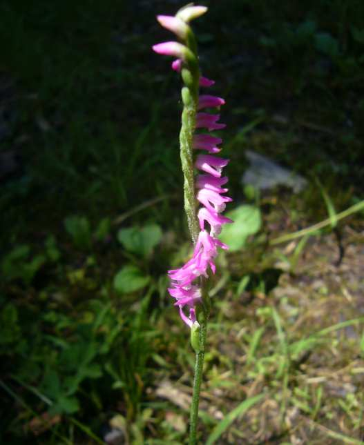 P1130192