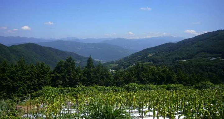 P1130205