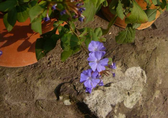 P1130326