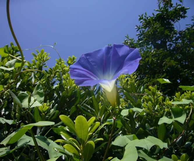 P1130449
