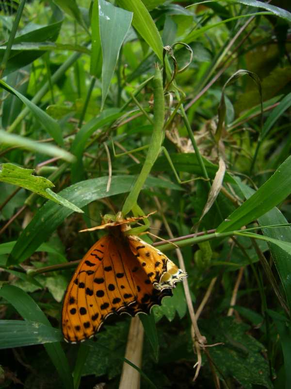 P1130580