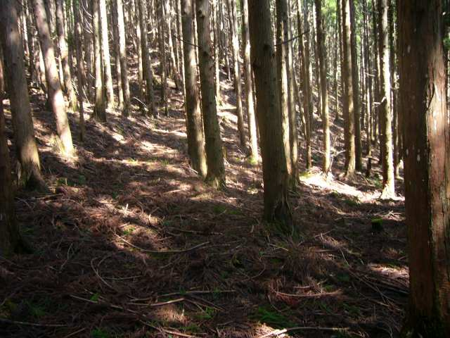 P1130650