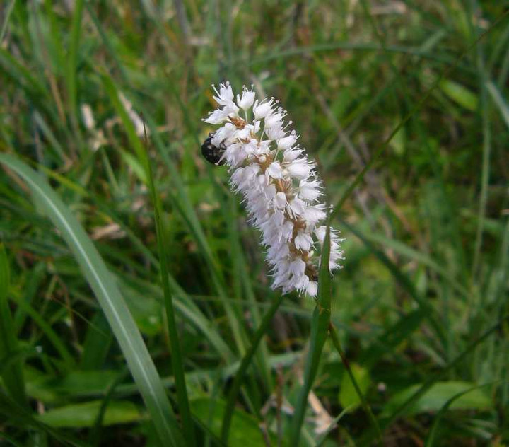 P1130655