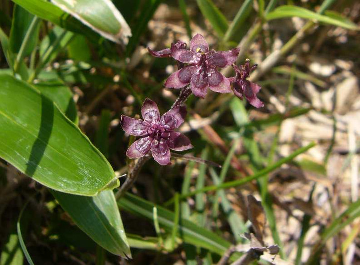 P1130669
