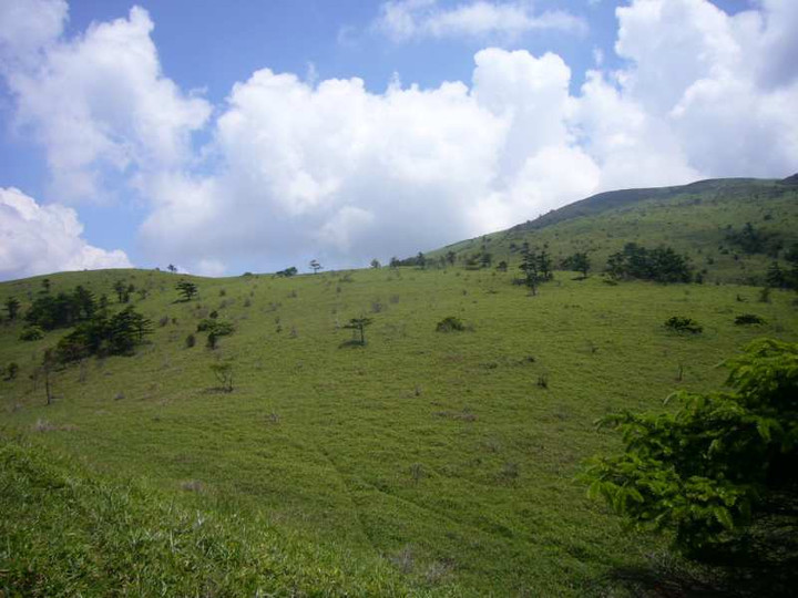 P1130673