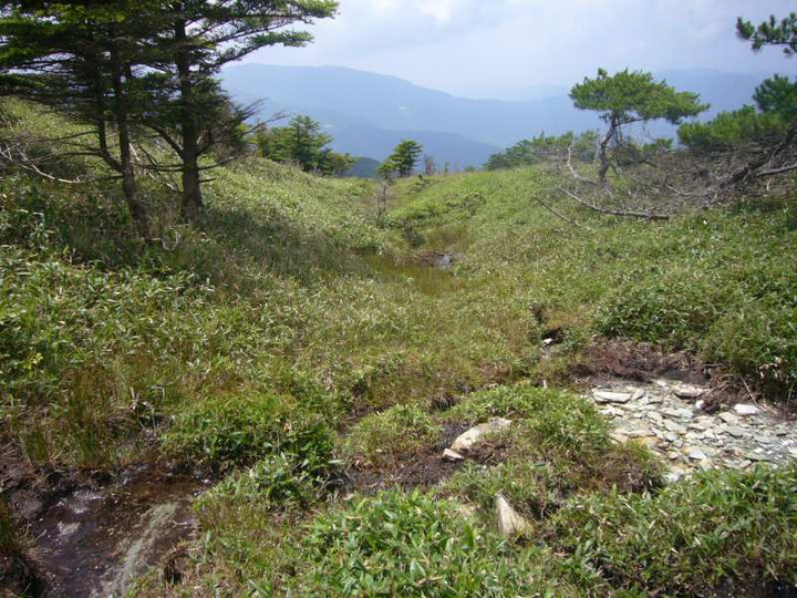 P1130677