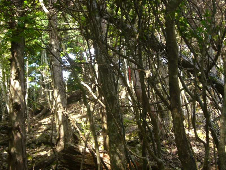 P1130720