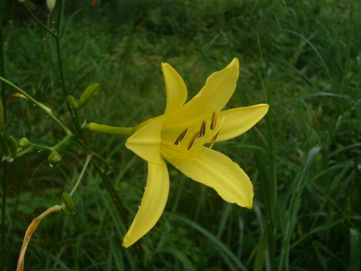 P1130887