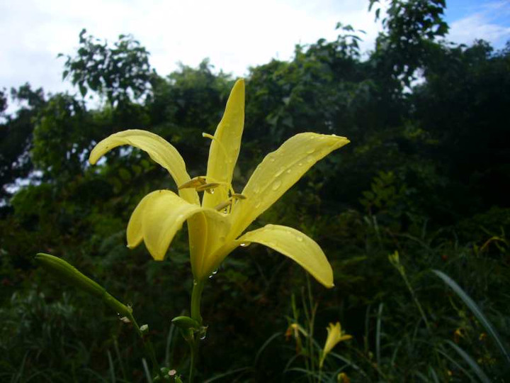 P1130850