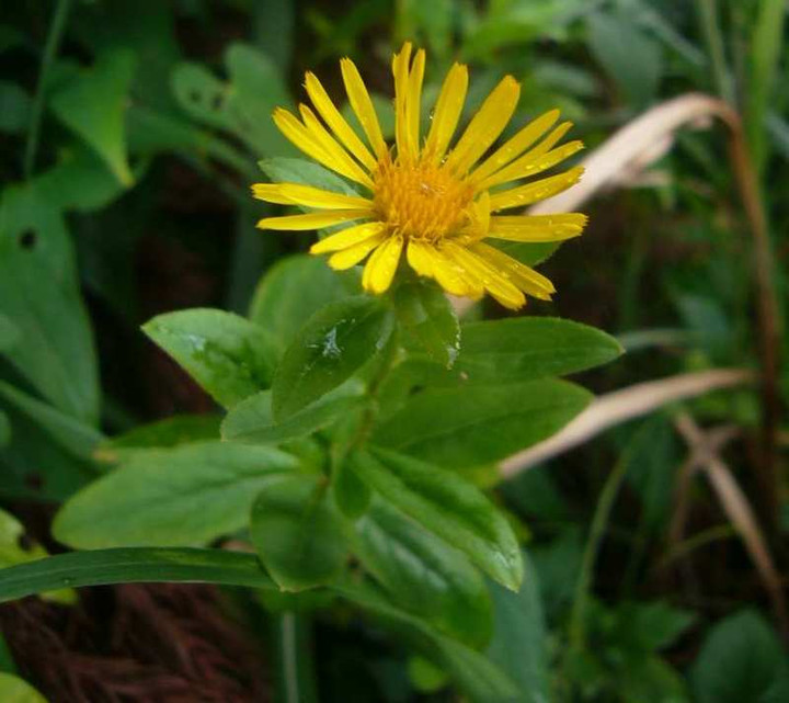 P1130872