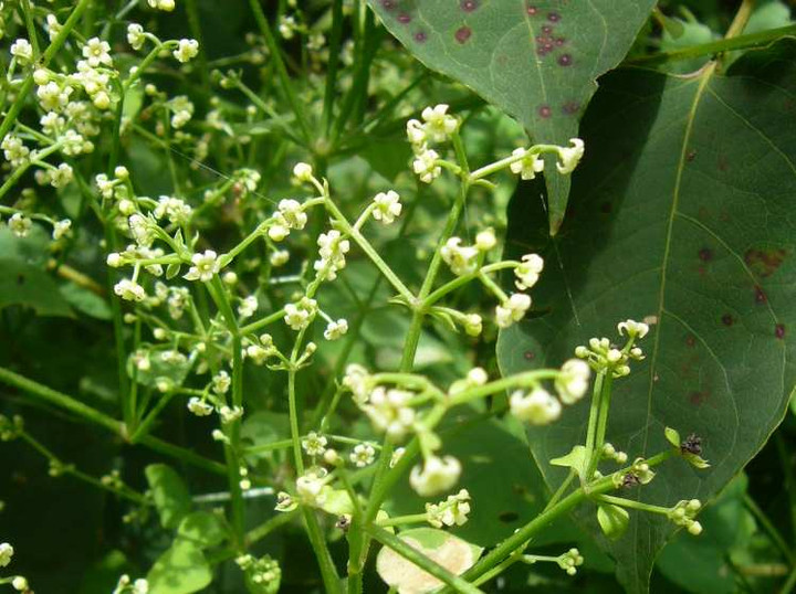 P1140009