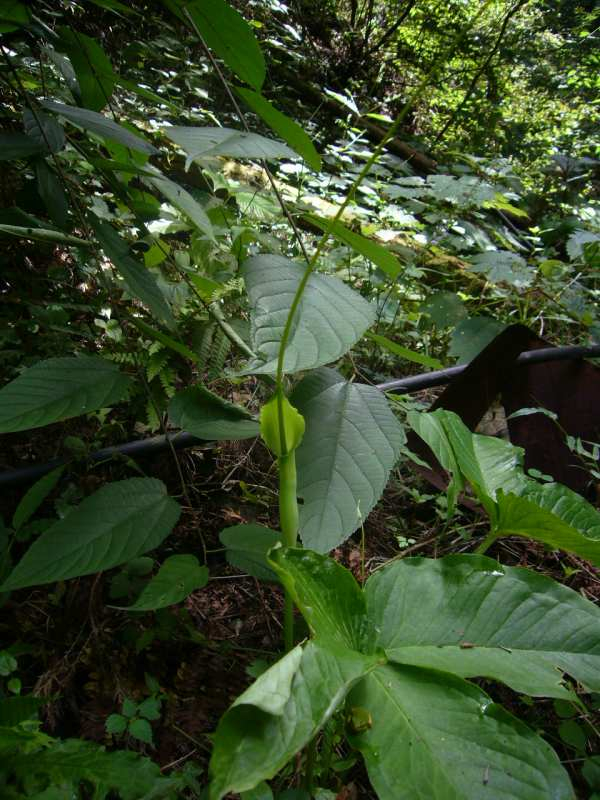 P1140011