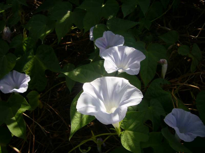 P1140028