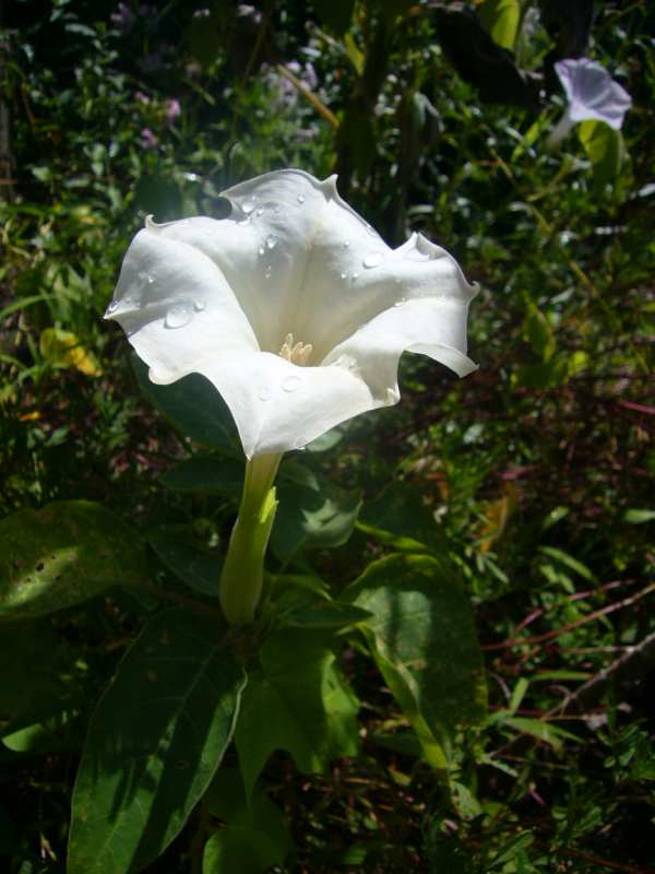 P1140029