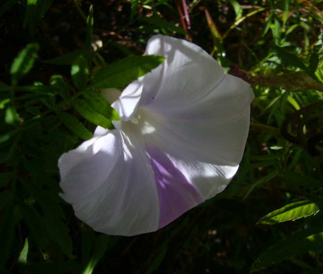 P1140031