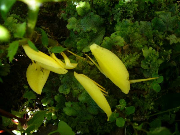 P1140235