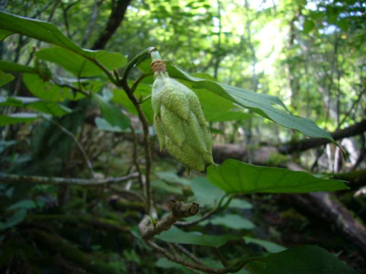 P1140275