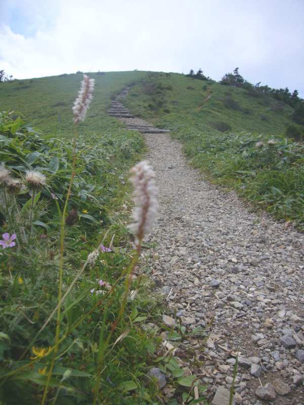P1140352
