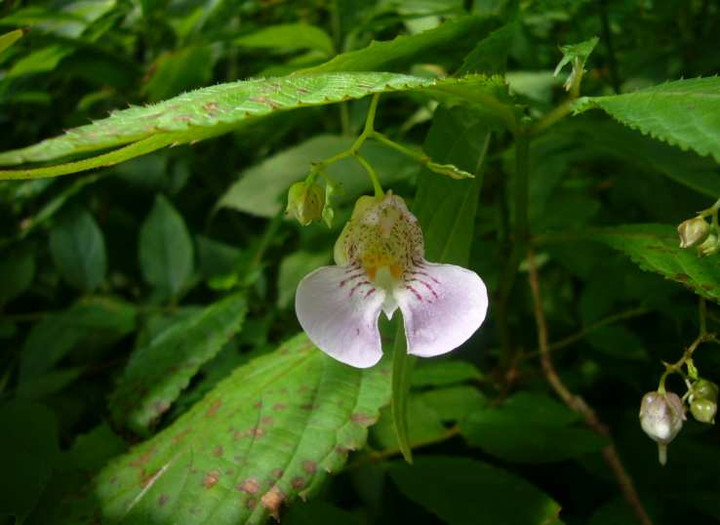 P1140393