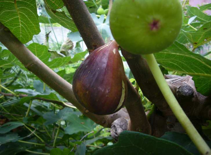 P1140040