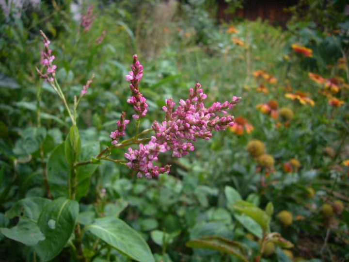 P1140482