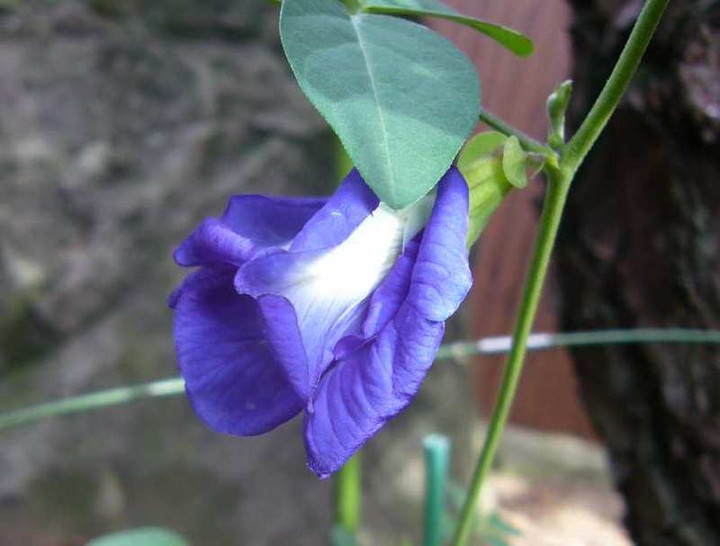 P1140504