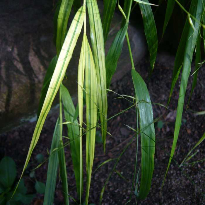 P1140515