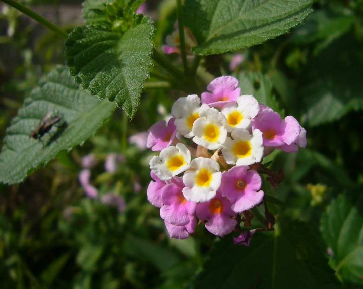P1140508