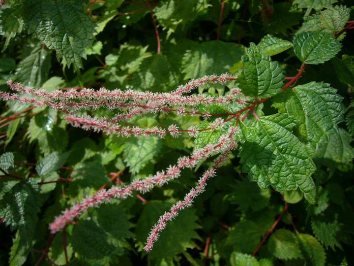 P1140532