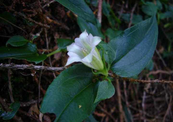 P1140536
