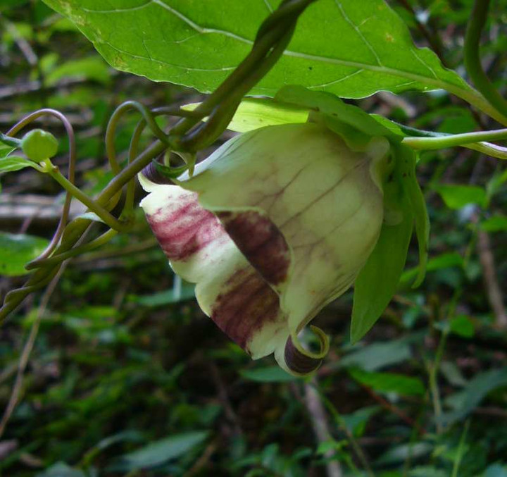 P1140576