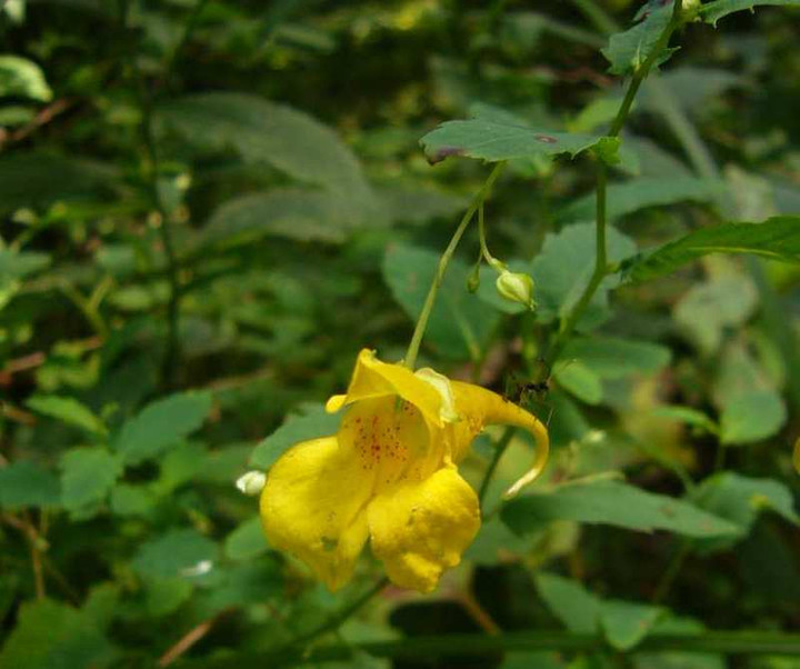 P1140581